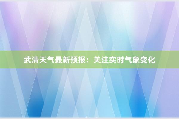 武清天气最新预报：关注实时气象变化